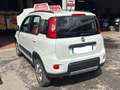 Fiat Panda Panda 1.3 mjt 16v 4x4 s Bianco - thumbnail 2
