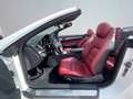 Mercedes-Benz E 350 Cabrio 350d 9G-Tronic Blanco - thumbnail 12