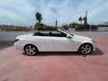 Mercedes-Benz E 350 Cabrio 350d 9G-Tronic Blanco - thumbnail 7