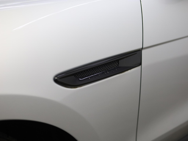 Jaguar F-Pace 2.0 Portfolio AWD 20d | Lederen bekleding — photo 11