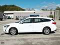 Ford Focus 1.5 ECOBLUE 120 CV SW BUSINESS Weiß - thumbnail 7