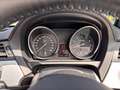 BMW sDrive35i Alb - thumbnail 14