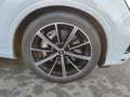 Audi Q7 55 TFSI e q. S-Tronic S-Line 2x, AHK, Luft Sp Alb - thumbnail 16