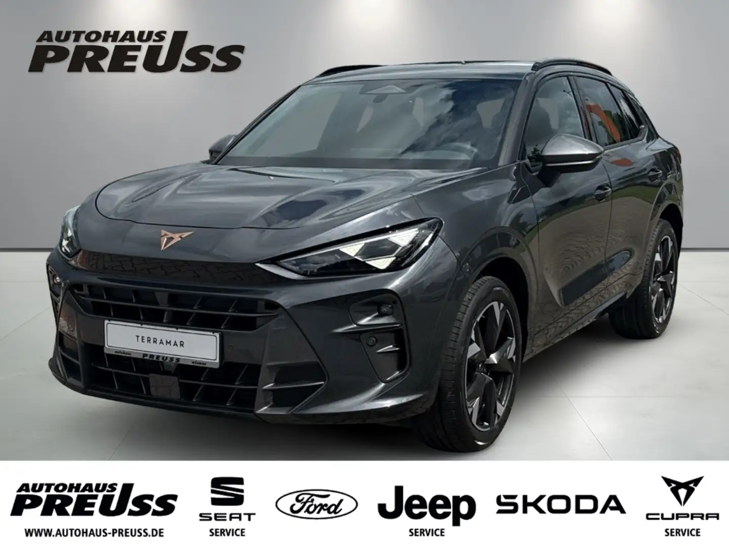 CUPRA Terramar 1,5 eTSI DSG Gris - 1