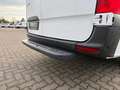 Mercedes-Benz Sprinter 317 CDI Kasten Maxi Klima+360°+Tempomat Blanc - thumbnail 12