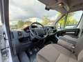 Citroen Jumper 33 BlueHDi 120 S&S PM-TM Furgone Bianco - thumbnail 10