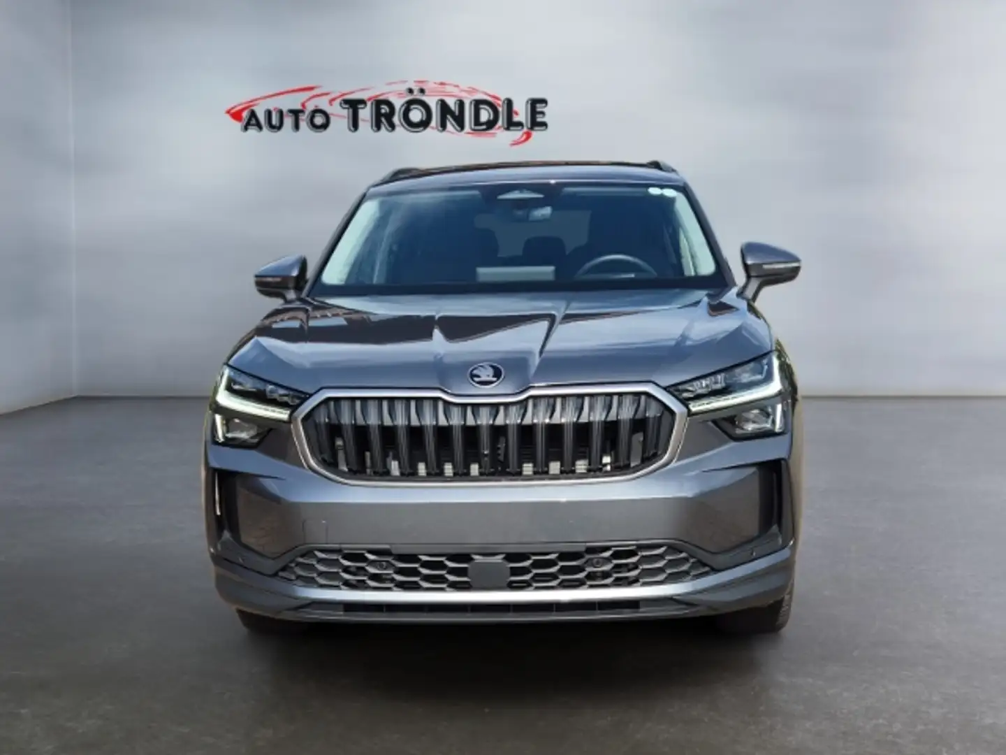 Skoda Kodiaq 2.0 TDI DSG 4x4 Selection +ACC +HuD +AHK Grau - 2