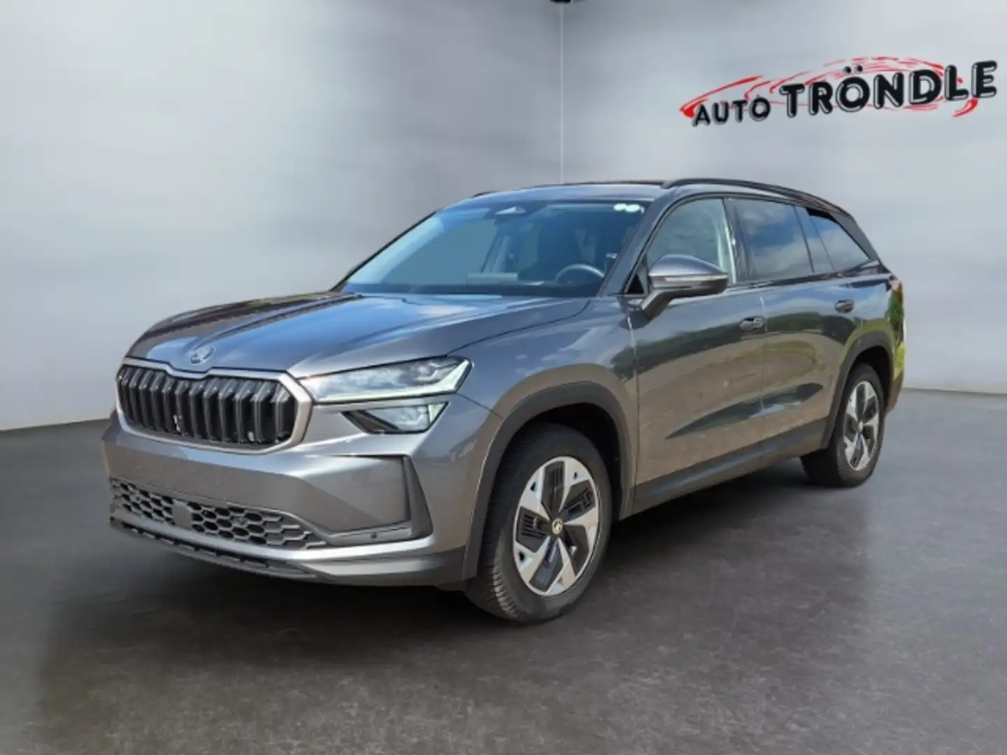 Skoda Kodiaq 2.0 TDI DSG 4x4 Selection +ACC +HuD +AHK Grau - 1