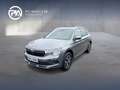 Skoda Kamiq Selection TSI DSG Grau - thumbnail 1