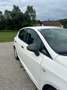 SEAT Ibiza Ibiza ST Chili 1,2 Chili Fixpreis Weiß - thumbnail 9