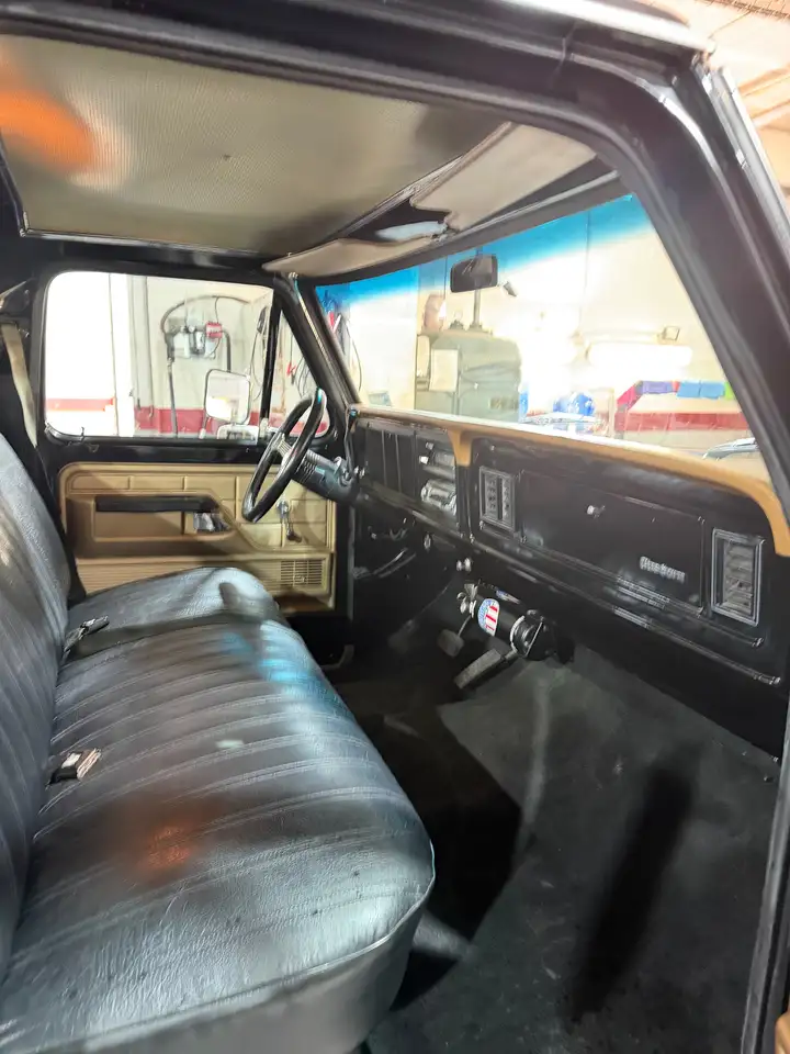 Ford F 100 F-1000, foto 9