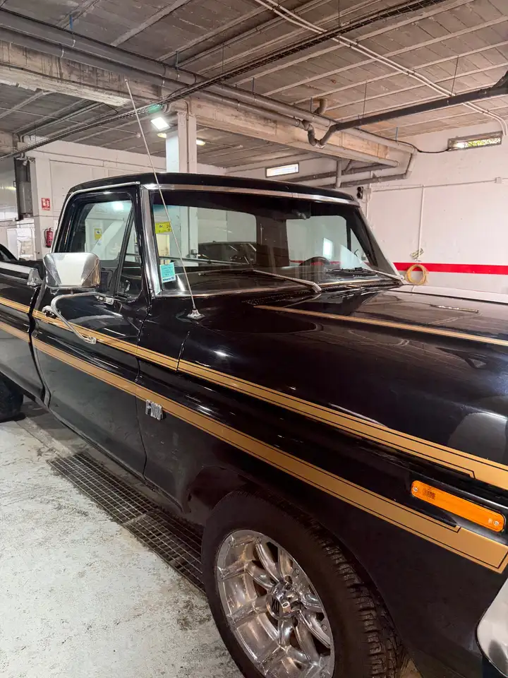 Ford F 100 F-1000, foto 5