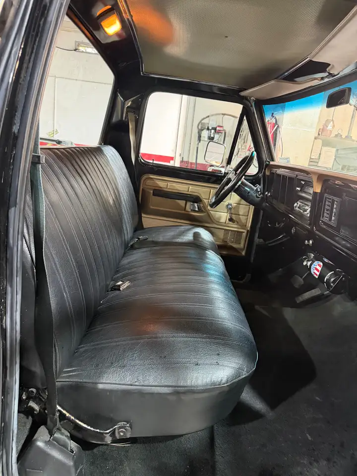 Ford F 100 F-1000, foto 10