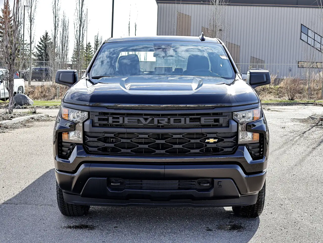 Chevrolet Silverado 1500 снимка Chevrolet Silverado 1500
