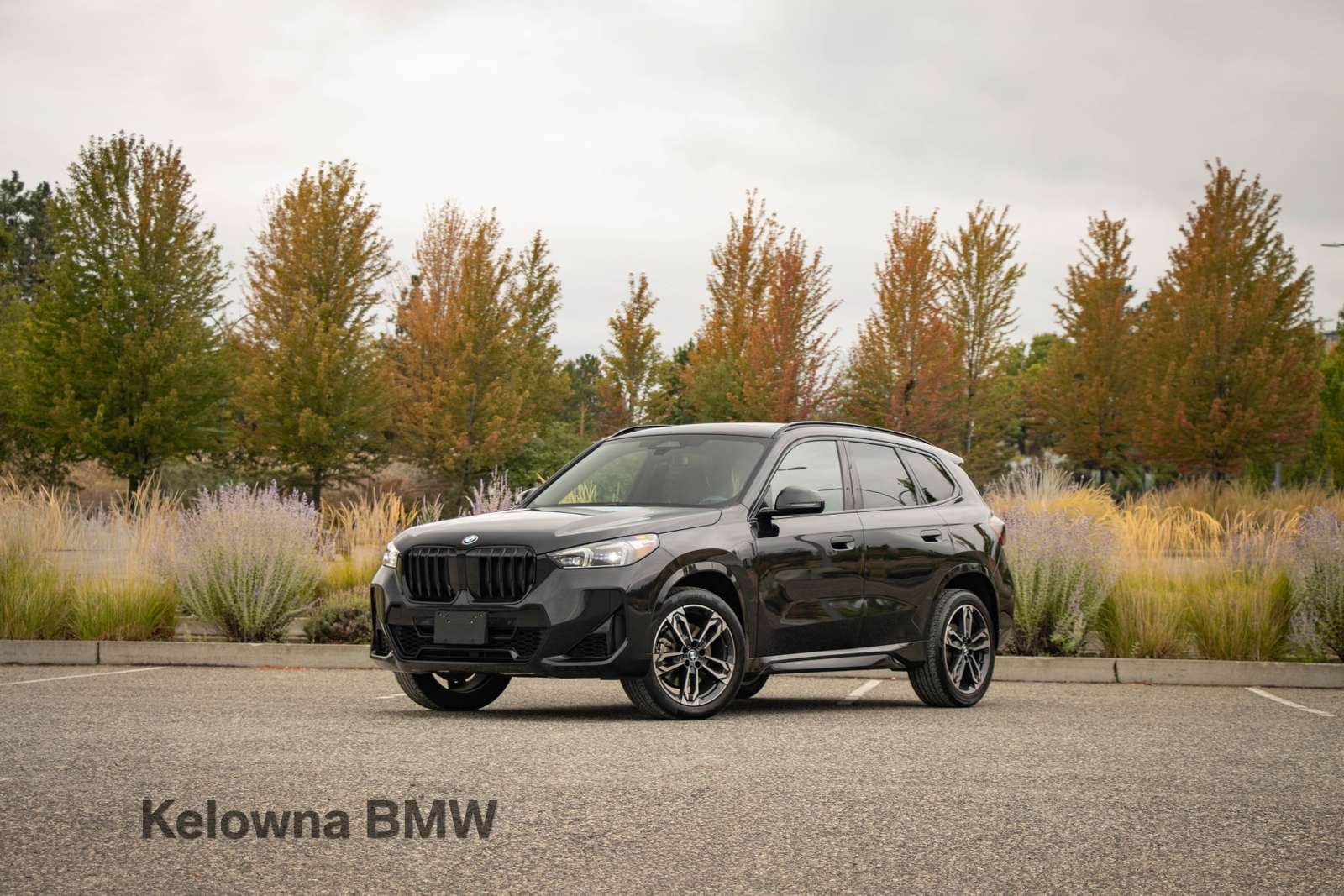 2025 BMW X1
