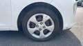 Kia Picanto 1.0 66 Active Blanc - thumbnail 17
