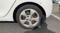 Kia Picanto 1.0 66 Active Blanc - thumbnail 19