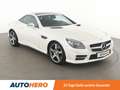 Mercedes-Benz SLK 250 250 BlueEfficiency Carbon LOOK Edition Aut.*NAVI* Fehér - thumbnail 8