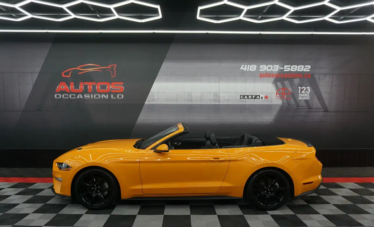 2019 Ford Mustang