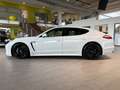 Porsche Panamera Platinum Edition*PASM*Kamera* Weiß - thumbnail 2