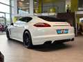 Porsche Panamera Platinum Edition*PASM*Kamera* Weiß - thumbnail 3