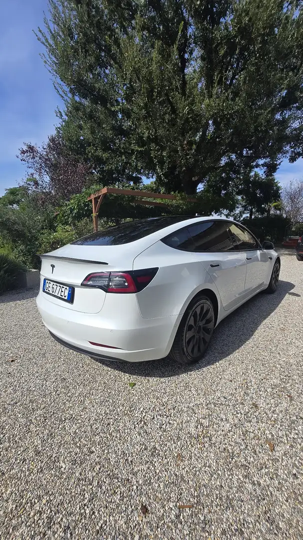 Tesla Model 3 Standard rwd Plus - 2
