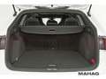 Volkswagen Golf Variant Golf VIII Variant 1.5 TSI R-Line AHK Navi LED Pa Weiß - thumbnail 19