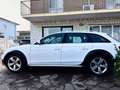 Audi A4 allroad Allroad Quattro 2.0 tdi Business Plus (Euro 6) Weiß - thumbnail 16