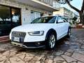 Audi A4 allroad Allroad Quattro 2.0 tdi Business Plus (Euro 6) Weiß - thumbnail 1
