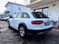 Audi A4 allroad Allroad Quattro 2.0 tdi Business Plus (Euro 6) Weiß - thumbnail 17