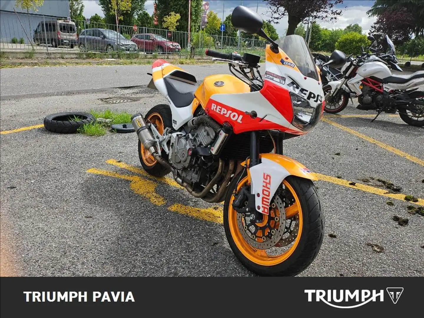 Honda Hornet F1 Šedá - 2