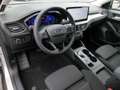 Ford Focus Turnier Titanium X 115PS Auto. Ergo Sitz B&O Fahre Silber - thumbnail 5