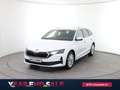 Skoda Octavia Selection TDI DSG Weiß - thumbnail 1