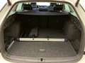 Skoda Octavia Selection TDI DSG Weiß - thumbnail 30