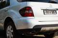 Mercedes-Benz ML 280 CDI 4MATIC 7-G LEDER PDC XENON HU-AU NEU Argent - thumbnail 10