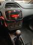 Fiat Punto Punto 1.2 Neopatentati Euro 5 Bleu - thumbnail 8