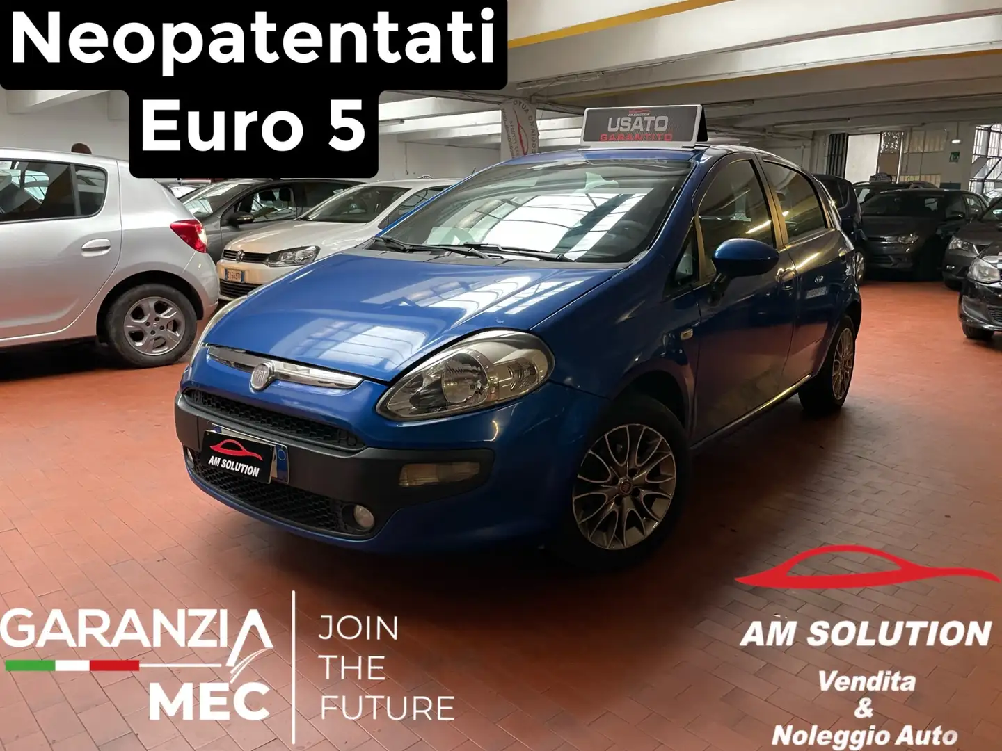 Fiat Punto Punto 1.2 Neopatentati Euro 5 Bleu - 1