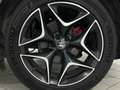 Alfa Romeo Stelvio 2.2 TD 210 CV VELOCE Q4 DISTRIBUZIONE ESEGUITA Gris - thumbnail 17