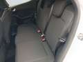 Ford Fiesta VII 2022 5p - Fiesta 5p 1.1 Titanium Gpl 75cv Blanco - thumbnail 10