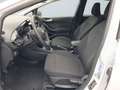 Ford Fiesta VII 2022 5p - Fiesta 5p 1.1 Titanium Gpl 75cv Blanco - thumbnail 9