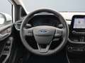 Ford Fiesta VII 2022 5p - Fiesta 5p 1.1 Titanium Gpl 75cv Blanco - thumbnail 13