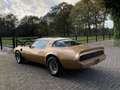 Pontiac Trans Am Firebird 6.6 T/A in mooie staat NL kenteken Goud - thumbnail 7