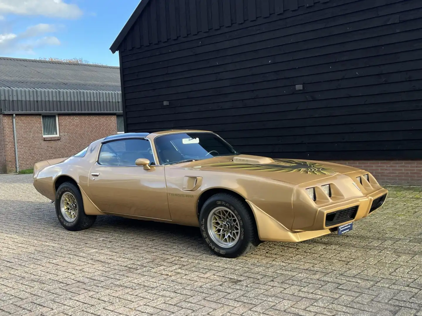 Pontiac Trans Am Firebird 6.6 T/A in mooie staat NL kenteken Goud - 2