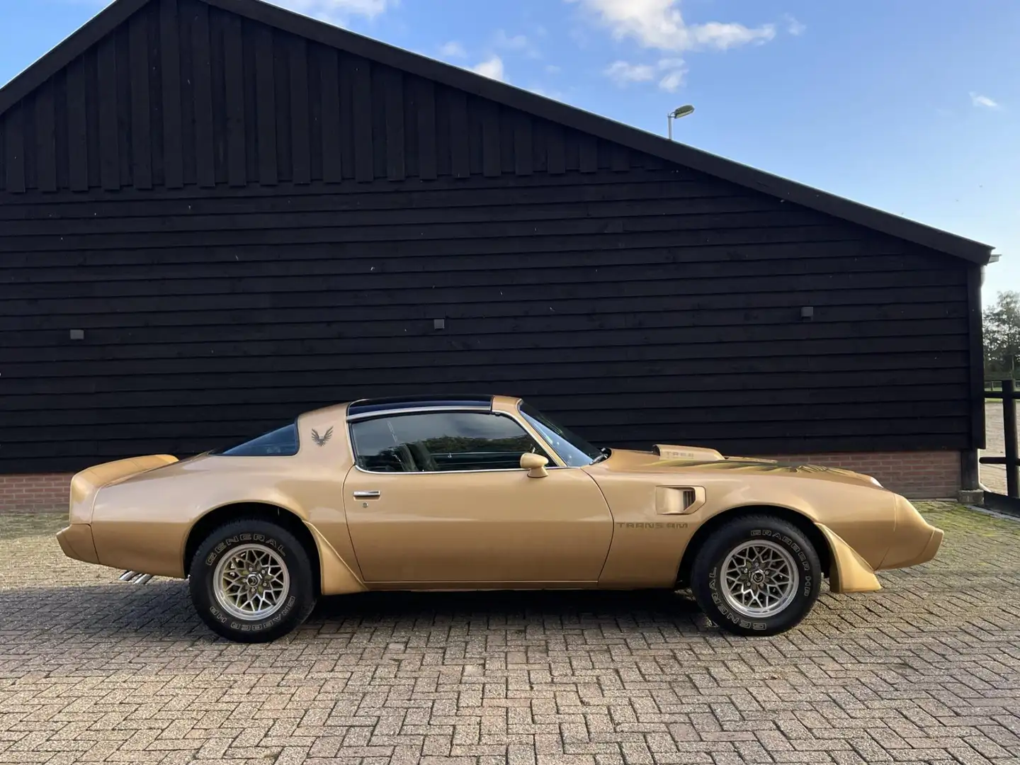 Pontiac Trans Am Firebird 6.6 T/A in mooie staat NL kenteken Goud - 1