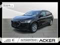 Ford Focus 1.0 Turnier Navi LED Kamera 7J.Garantie Schwarz - thumbnail 1