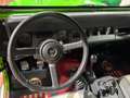 Jeep Wrangler 2.5 Restaurato - MODIFICHE OMOLOGATE LIBRETTO Grün - thumbnail 10