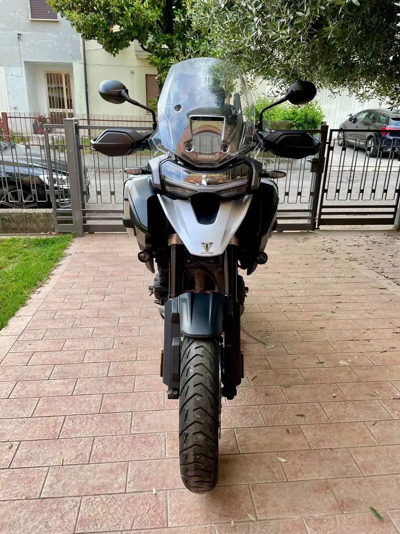 Triumph Tiger 1200 GT PRO Blanc - 2