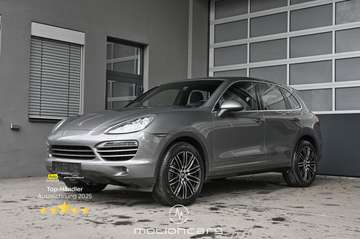 Diesel Pickerl NEU