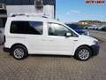 Volkswagen Caddy XTRA BMT Austria Plus 2.0 TDI *AHK* 75 kW (102 ... Weiß - thumbnail 6