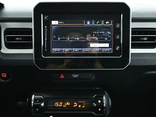 Suzuki Ignis view 12